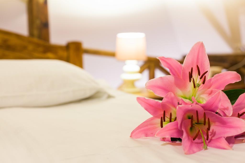 Guest House Vila Bajka Ζλάτιμπορ Εξωτερικό φωτογραφία